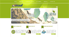 Desktop Screenshot of evesselbd.com